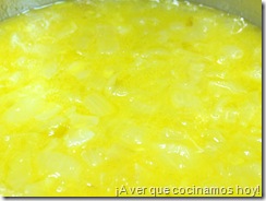 Cebolla y Zumo de Naranja 2