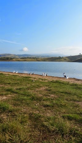 The view from our campsite.