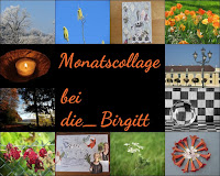 https://diebirgitt.blogspot.com/2020/06/monatscollage-juni.html