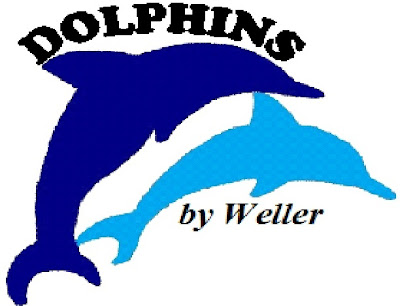 Dolphins Logo