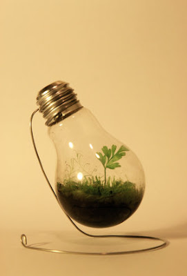 What You Can Do With Old Light Bulbs (30) 20