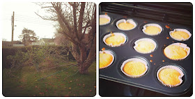 Elder tree pruning and cake baking