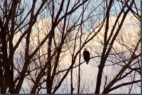 Copy of IMG_0935