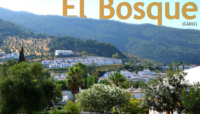 EL BOSQUE