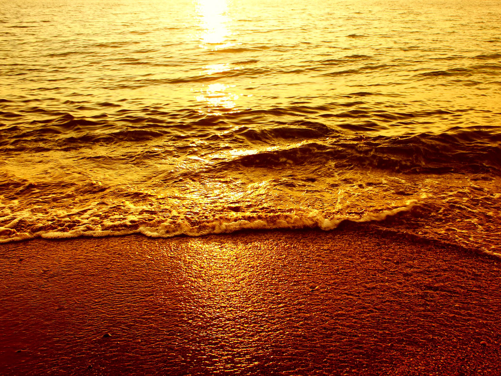 wallpapers: Golden Surf Wallpapers