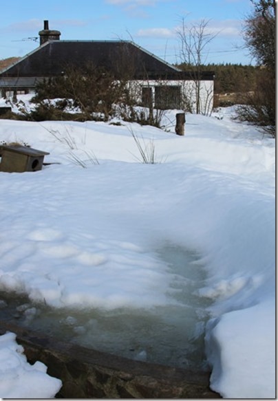 6-pond