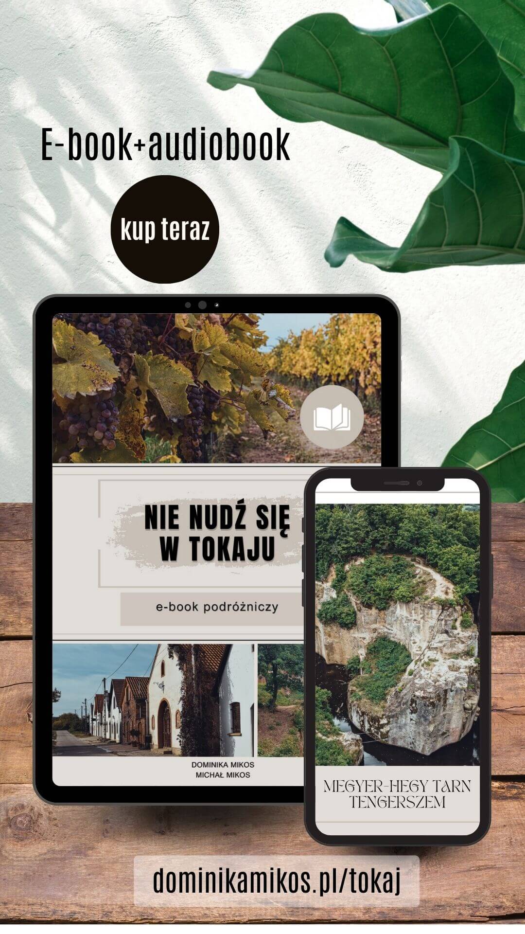 Ebook podróżniczo o Tokaju i okolicach