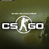 Counter-Strike Global Offensive v1.21.4.0 [BTWP Certified]