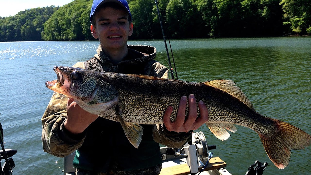 Jimmy Carter rabbit incident Fish