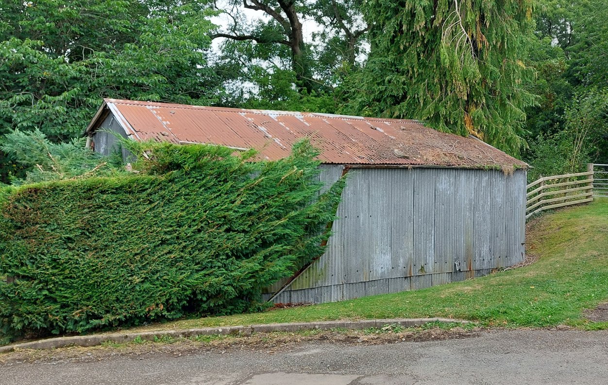 Wiggly tin shed