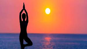 Emmy Nominated Filmmaker Tirlok Malik to Host International Yoga Day 2023 Event in New York