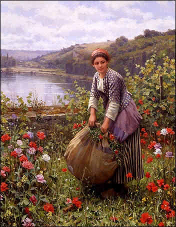 the grass cutter