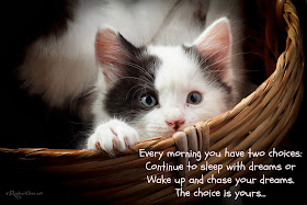 Every morning you have two choices: Continue to sleep with dreams or Wake up and chase your dreams. The choice is yours...