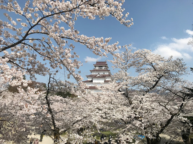 Sakura Tsuruga Castle