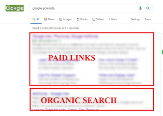 Search Engine shows Organic Search results -allkeynotes