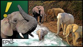 Two panels. One elephant with trunk up. Baby elephant is in river. Other elephants gather.