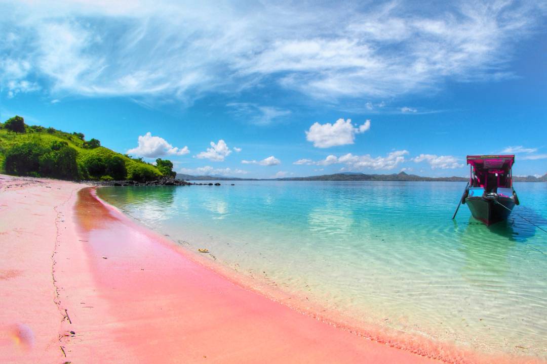 Testing Pantai Merah Muda Pink Beach di Flores Nusa 