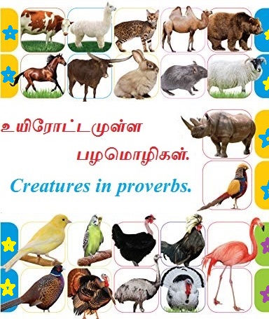 உயிரோட்டமுள்ள பழமொழிகள் - Creatures in proverbs.