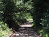 Suffolk lanes