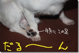 今日カズ１００２２５　３