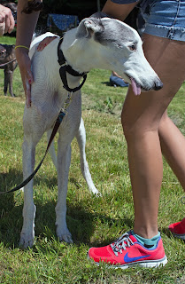 Blue Greyhound has a spa treatment at Open House