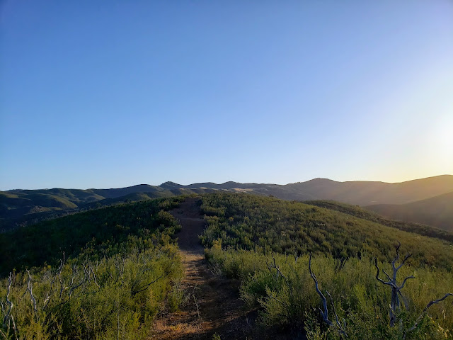 Same as hero shot - golden light during the morning hours returning from Wilson Valley