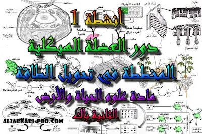 تحميل أنشطة 1: دور العضلة الهيكلية المخططة في تحويل الطاقة للسنة الثانية باك , درس , ملخص , تمارين , امتحانات وطنية علوم الحياة والارض , علوم الحياة والارض , فروض علوم الحياة والارض , الثانية باك , بكالوريا , دروس اونلاين