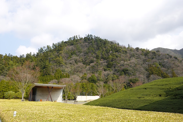 島根県出雲市大社町杵築東 島根県立古代出雲歴史博物館