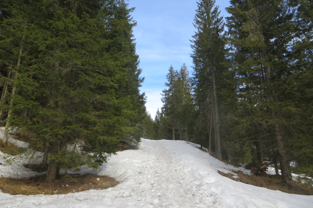 orti forestali escursione inverno ciaspole