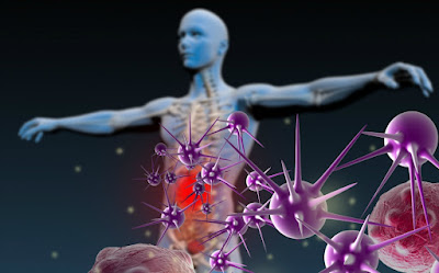 Immune Defence 4X Review: How Can You Control Inflammation And Support A Stronger Immune System?