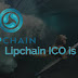 LipChain | Global Surfer Community | Project Review