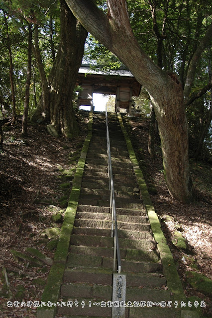 山狭神社　参道階段と随神門