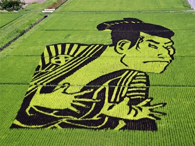 Sawah Jepang Unik Dilukis Beragam Karakter