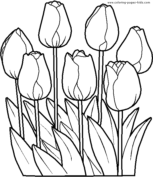 Coloring Pages for Kids: Tulip Coloring Pages for Kids