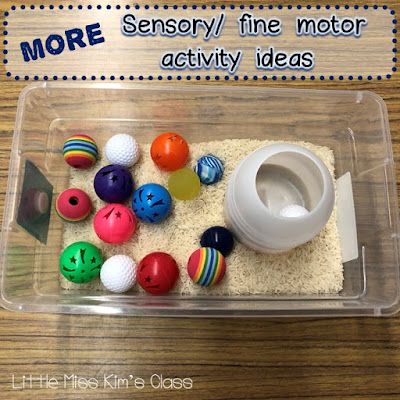 Sensory & Fine Motor Activity Ideas for Special Education