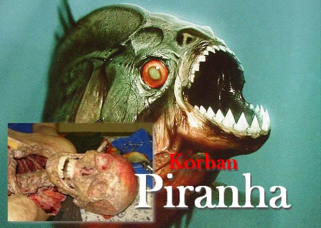 Ikan Pembunuh paling Ganas Ini Disebut Piranha