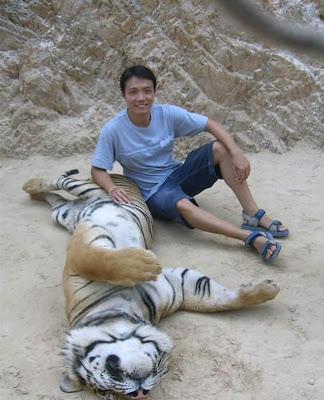 Tiger Temple in Thailand