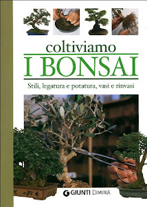 Coltiviamo i bonsai