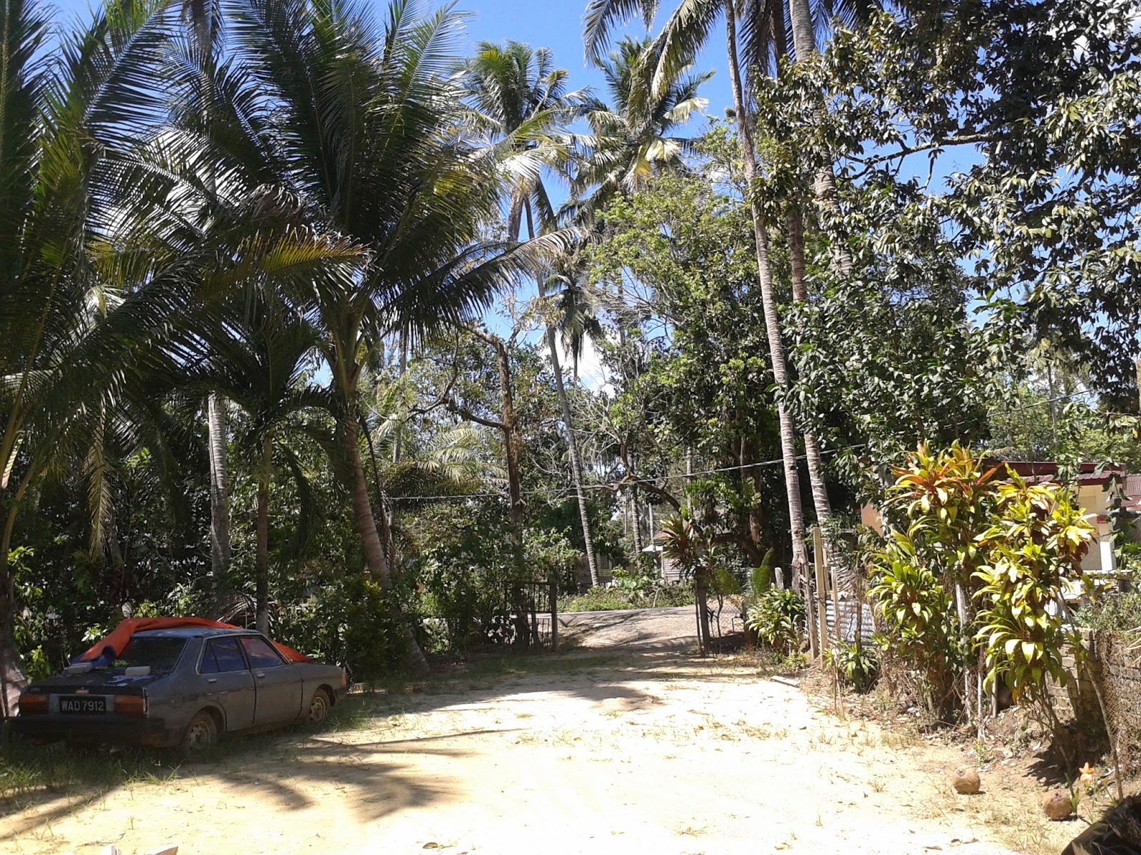 sayap ilusi halaman  rumah  di kampung  