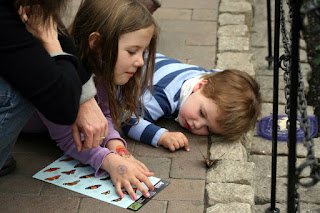 children study butterfly