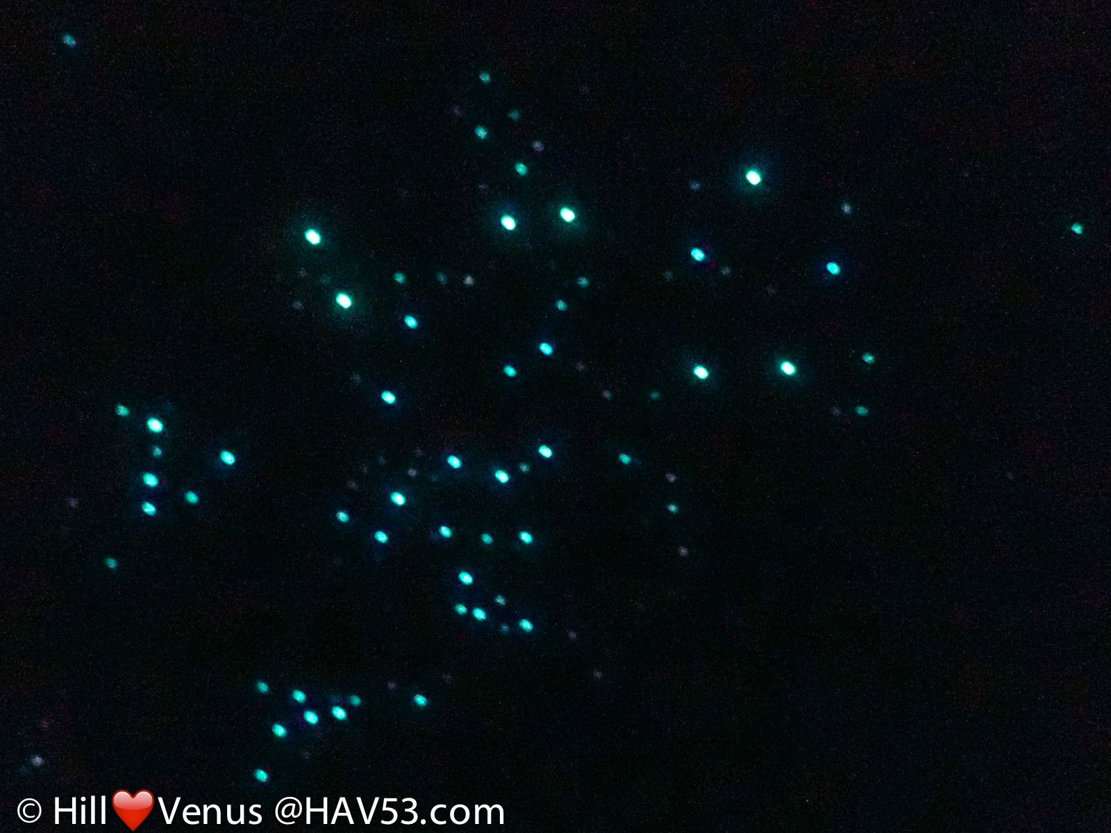 Glow Worm  4  5