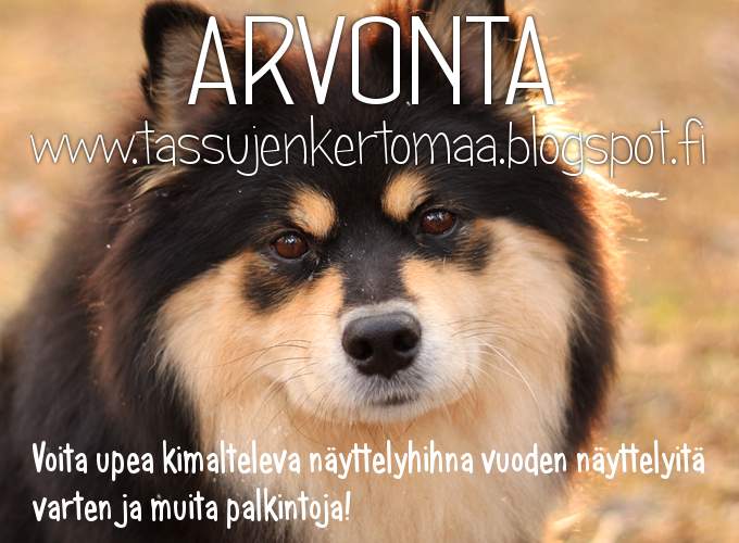 tassujenkertomaa.blogspot.fi