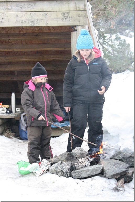 Lapphundtreff Tueneset 2010 115