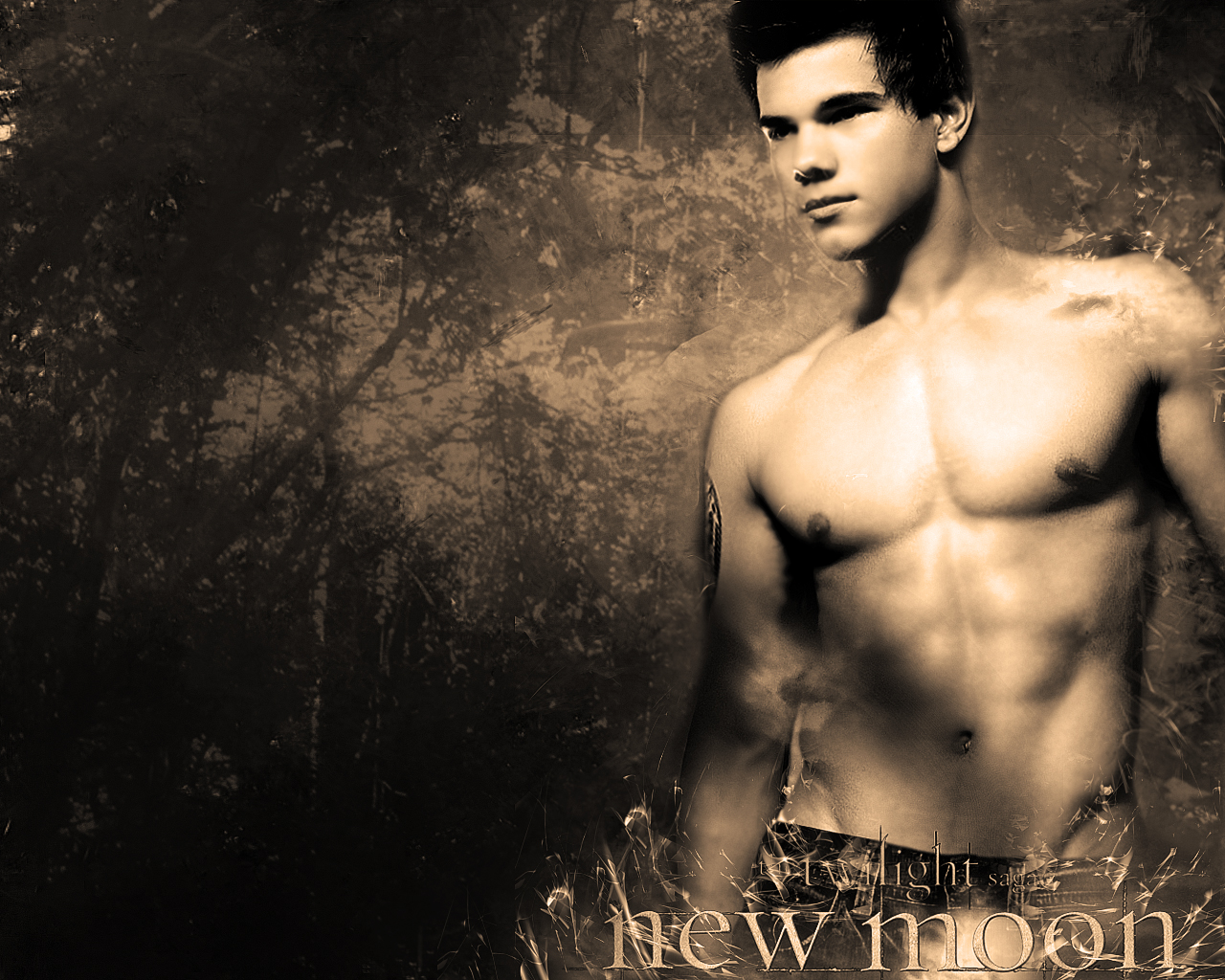 Taylor Lautner Wallpapers