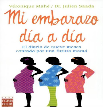 mi embarazo día a día