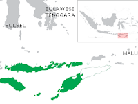 Makanan Khas Provinsi Nusa Tenggara Timur