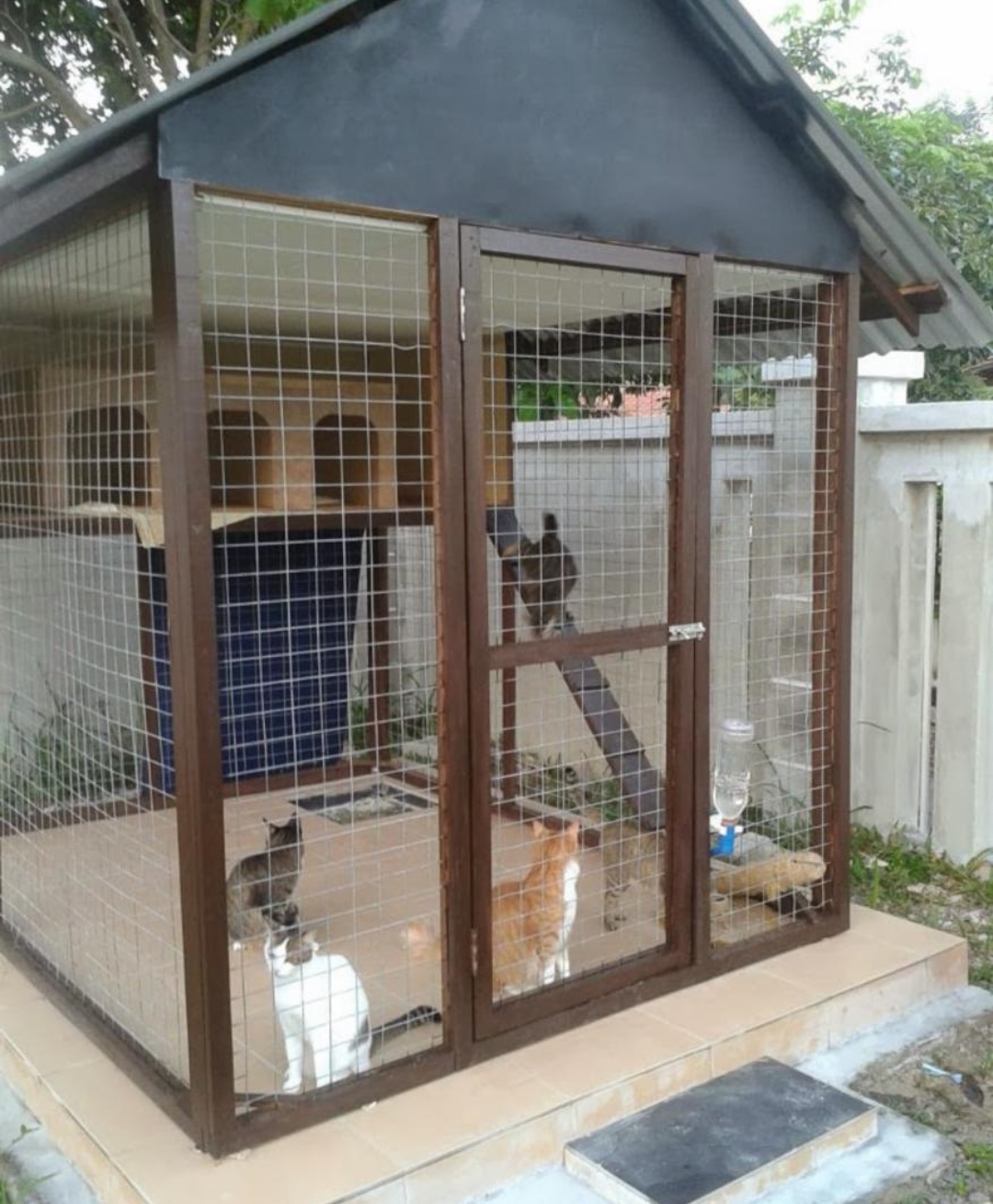  Contoh Rumah Kucing  Outdoor Home Desaign