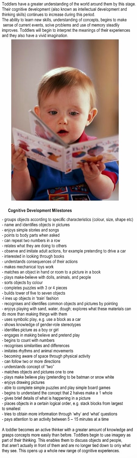 Cognitive development in toddlers