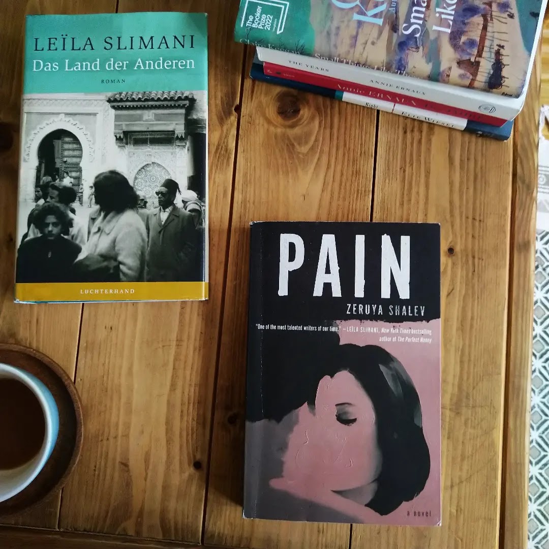 The cover of Pain by Zeruya Shalev, on my reading list · Lisa Stefan