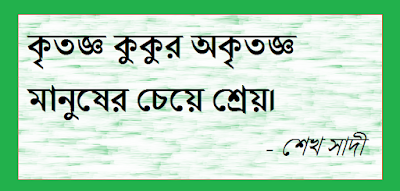 Bangla Quotes